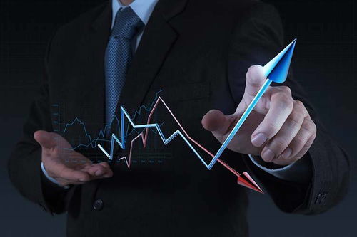 拓商之道 拼多多運(yùn)營實(shí)戰(zhàn)攻略，告別“沒流量”困境的站內(nèi)推廣秘笈